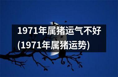 1971年属猪运气不好(1971年属猪运势)