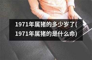 <h3>1971年属猪的多少岁了(1971年属猪的是什么命)