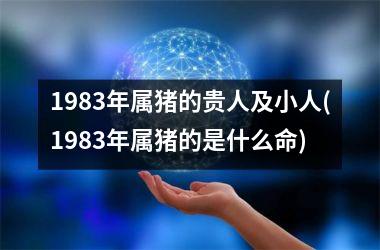 1983年属猪的贵人及小人(1983年属猪的是什么命)