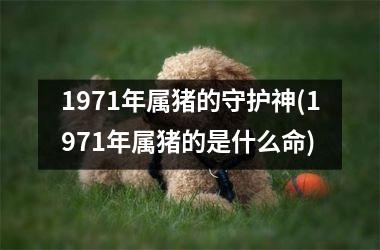 <h3>1971年属猪的守护神(1971年属猪的是什么命)