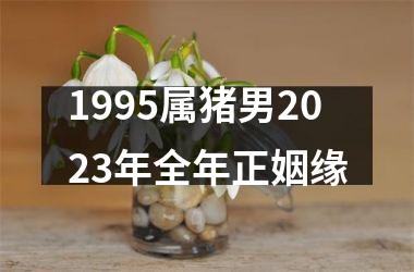 1995属猪男2025年全年正姻缘