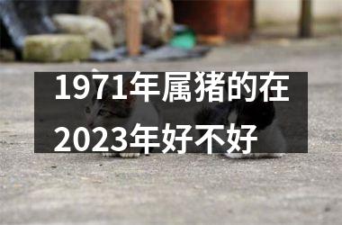 1971年属猪的在2025年好不好