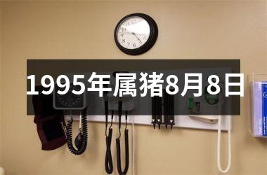 1995年属猪8月8日