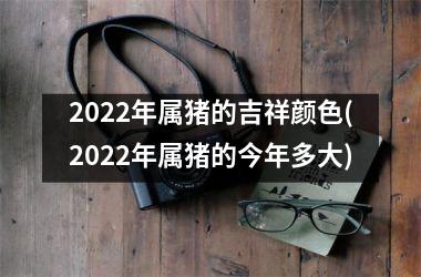 2025年属猪的吉祥颜色(2025年属猪的今年多大)