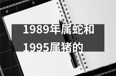 1989年属蛇和1995属猪的