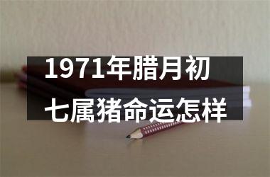 <h3>1971年腊月初七属猪命运怎样