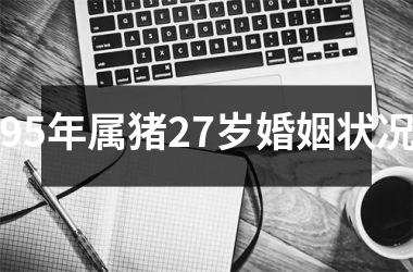 95年属猪27岁婚姻状况