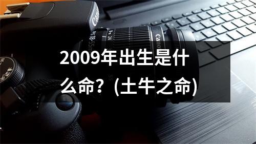 <h3>2009年出生是什么命？(土牛之命)