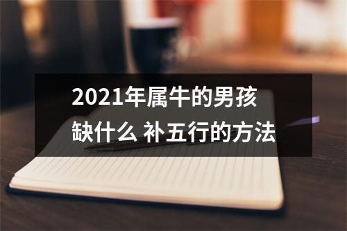 <h3>2025年属牛的男孩缺什么补五行的方法