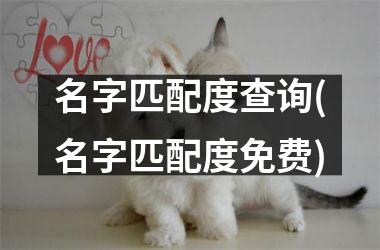 <h3>名字匹配度查询(名字匹配度免费)