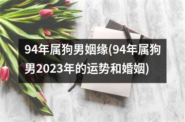 <h3>94年属狗男姻缘(94年属狗男2025年的运势和婚姻)