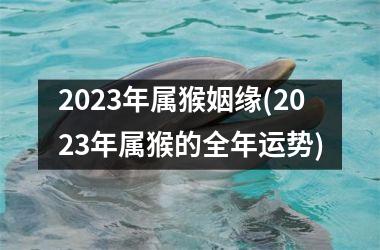 <h3>2025年属猴姻缘(2025年属猴的全年运势)