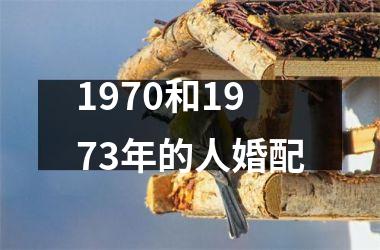 <h3>1970和1973年的人婚配