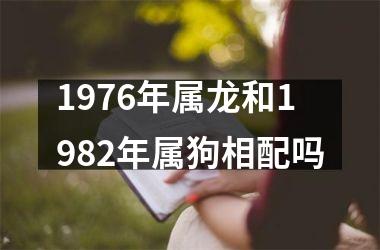 1976年属龙和1982年属狗相配吗