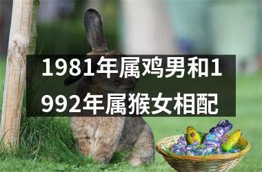 1981年属鸡男和1992年属猴女相配