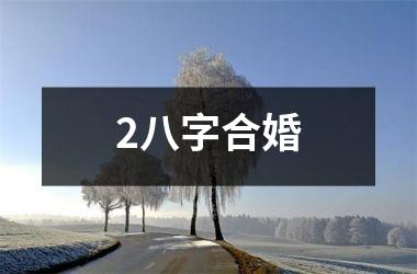 2八字合婚