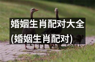 <h3>婚姻生肖配对大全(婚姻生肖配对)