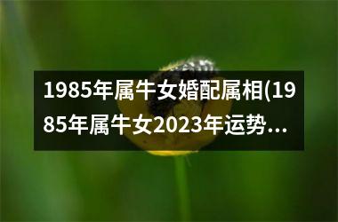 <h3>1985年属牛女婚配属相(1985年属牛女2025年运势完整版)