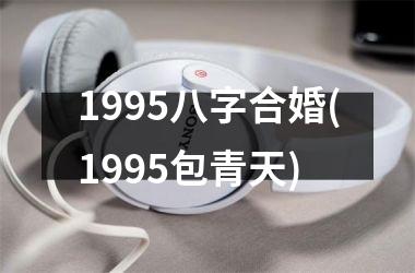 <h3>1995八字合婚(1995包青天)