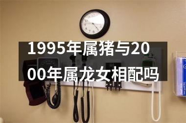 1995年属猪与2000年属龙女相配吗