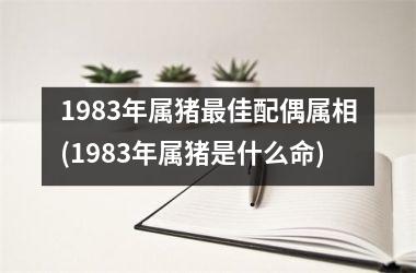 <h3>1983年属猪佳配偶属相(1983年属猪是什么命)