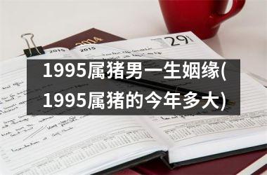 <h3>1995属猪男一生姻缘(1995属猪的今年多大)