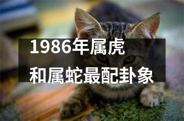 1986年属虎和属蛇配卦象