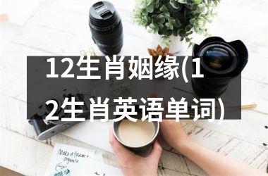 <h3>12生肖姻缘(12生肖英语单词)