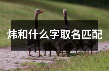 <h3>炜和什么字取名匹配