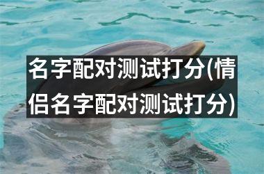 <h3>名字配对测试打分(情侣名字配对测试打分)