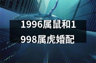 <h3>1996属鼠和1998属虎婚配