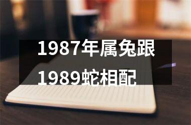 1987年属兔跟1989蛇相配