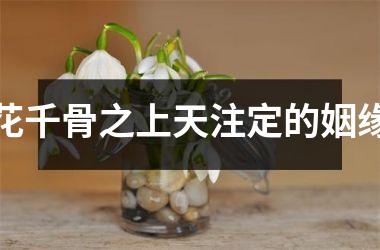 <h3>花千骨之上天注定的姻缘