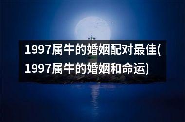 <h3>1997属牛的婚姻配对佳(1997属牛的婚姻和命运)