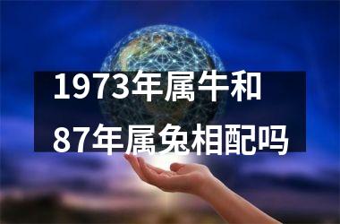 <h3>1973年属牛和87年属兔相配吗