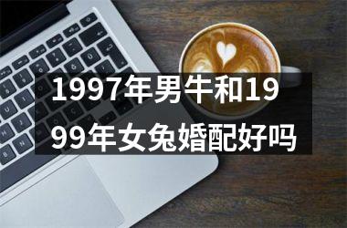 <h3>1997年男牛和1999年女兔婚配好吗