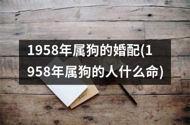 <h3>1958年属狗的婚配(1958年属狗的人什么命)