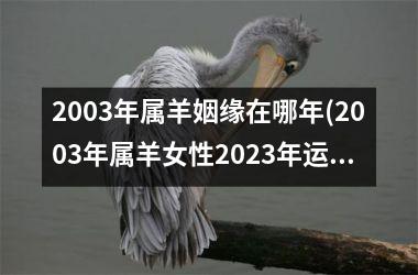 <h3>2003年属羊姻缘在哪年(2003年属羊女性2025年运势运程)