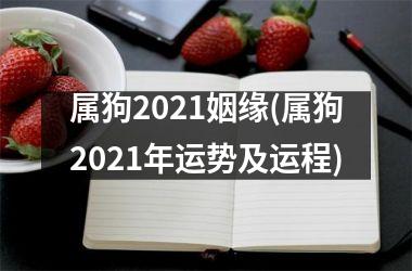 属狗2021姻缘(属狗2021年运势及运程)