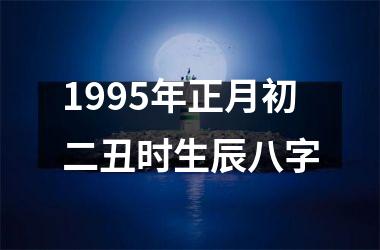 <h3>1995年正月初二丑时生辰八字