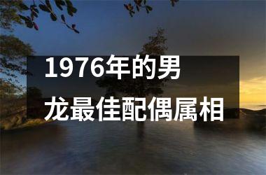 <h3>1976年的男龙佳配偶属相