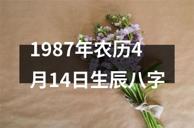 1987年农历4月14日生辰八字