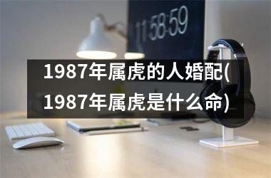 <h3>1987年属虎的人婚配(1987年属虎是什么命)