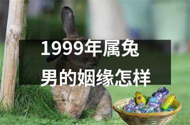 1999年属兔男的姻缘怎样