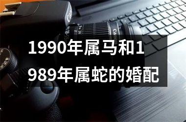 1990年属马和1989年属蛇的婚配