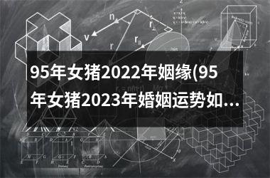 95年女猪2025年姻缘(95年女猪2025年婚姻运势如何)