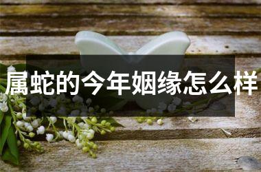 <h3>属蛇的今年姻缘怎么样