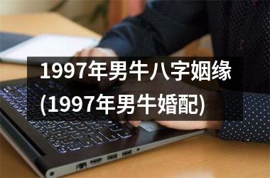1997年男牛八字姻缘(1997年男牛婚配)
