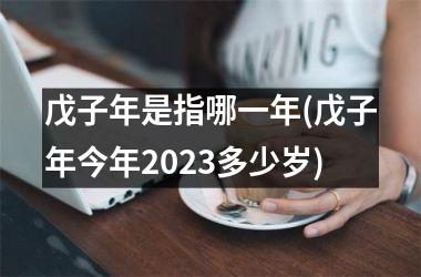 <h3>戊子年是指哪一年(戊子年今年2025多少岁)