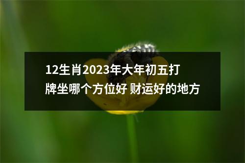 12生肖2025年大年初五打牌坐哪个方位好财运好的地方